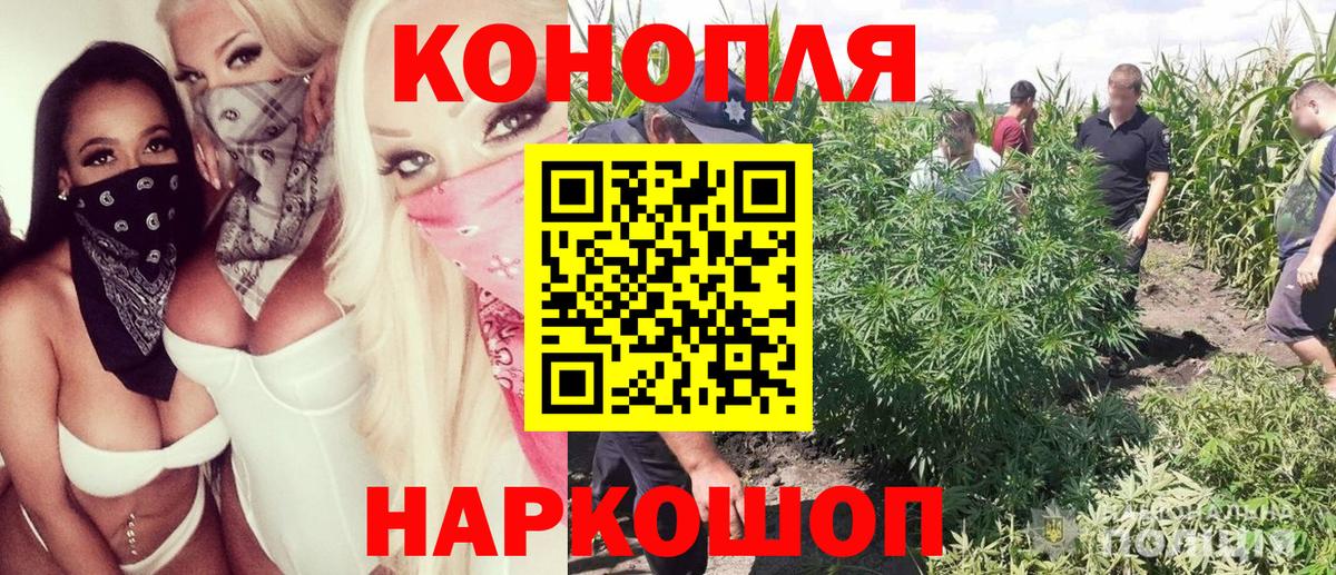 Пыть-Ях  Бошки Шишки SATIVA & INDICA  Канабис ГИДРОПОН  Шишки марихуана гибрид  Вход с VPN 